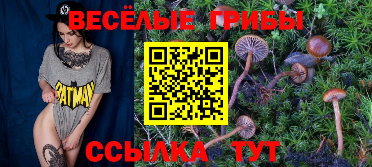 Югорск  Галлюциногенные грибы ЛСД  Псилоцибиновые грибы мицелий  Вход с VPN 